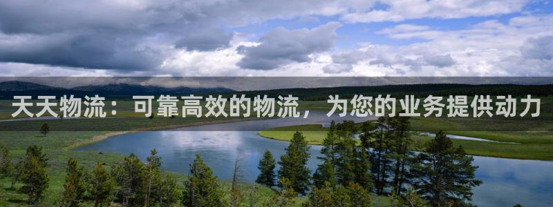 28圈登录网：天天物流：可靠高效的物
