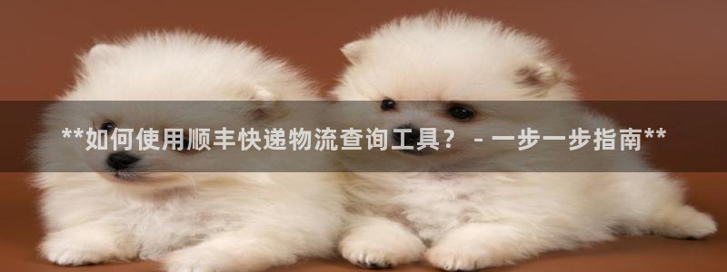 28圈链接是什么：**如何使用顺丰快