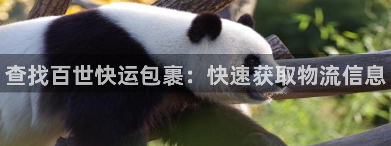 28圈退款教程：查找百世快运包裹：快