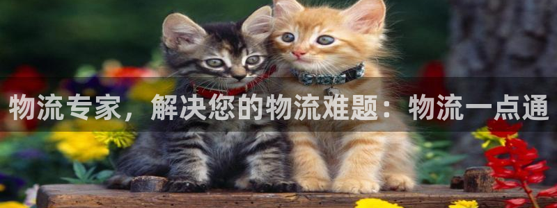 28圈注册网站加拿大：物流专家，解决