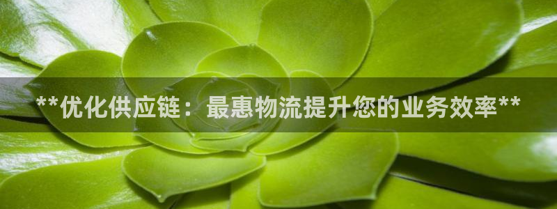 28圈登录流程：**优化供应链：最惠