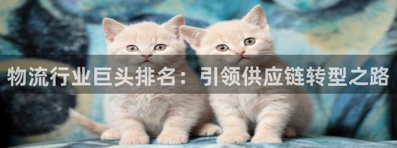 28圈官方版正版：物流行业巨头排名：