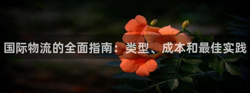 南宫28圈官网版：国际物流的全面指南