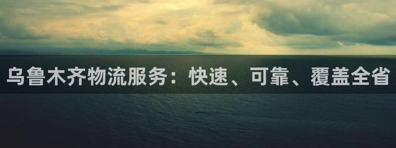 28圈体育下载：乌鲁木齐物流服务：快