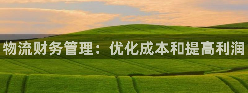 28圈推广链接是多少钱一个：物流财务