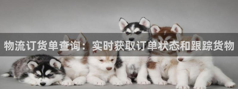 28圈ccm官网版：物流订货单查询：实时获取订单状态和跟踪货