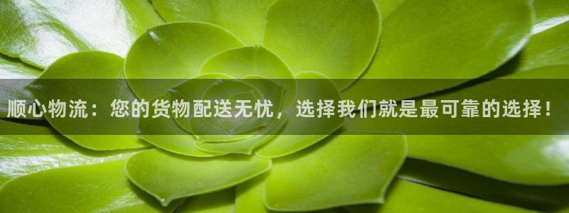 28圈模拟器在线使用