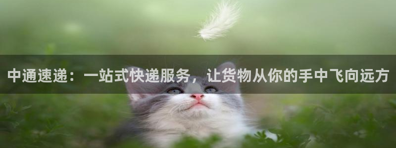 28圈赌博软件正规吗