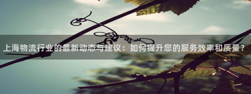 28圈玩法