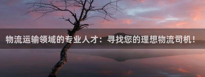 28圈电子
