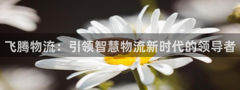 28圈加拿大能提现吗