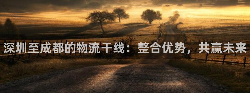 28圈游戏