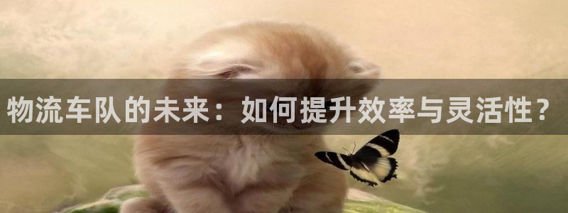 28圈.ccmapp：物流车队的未来