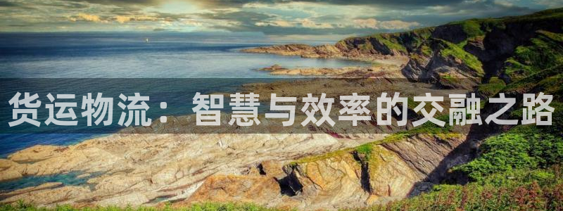 28圈链接是什么：货运物流：智慧与效