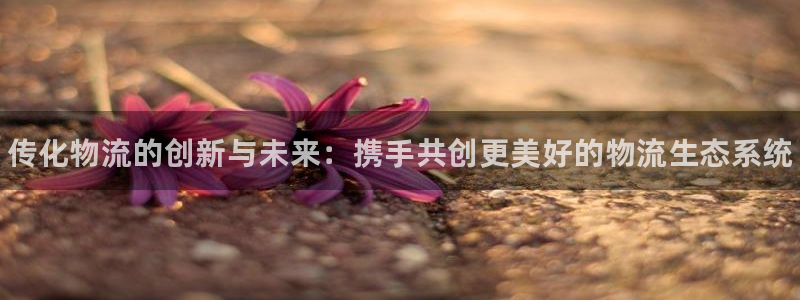 28圈推广链接是多少粉丝：传化物流的