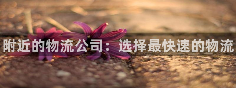 28圈充值不到账：附近的物流公司：选