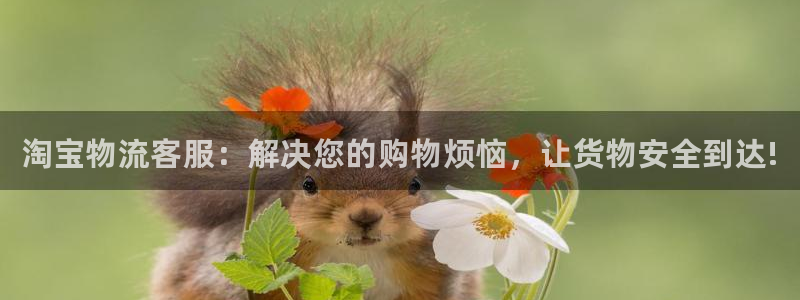 28圈模拟:淘宝物流客服:解决您的购