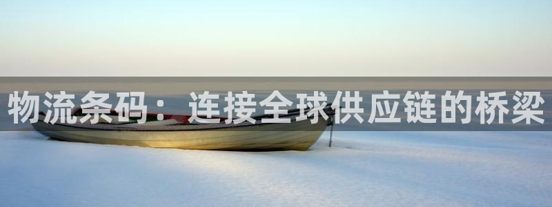 28圈预测：物流条码：连接全球供应链