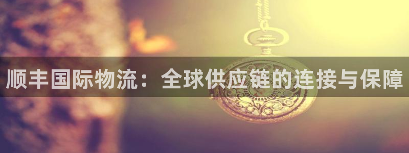 28圈网站怎么注册：顺丰国际物流：全