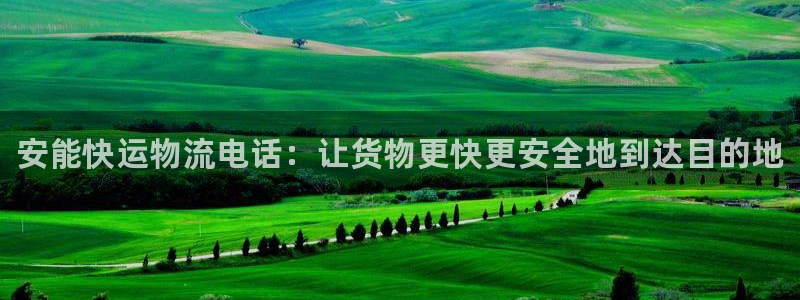 28圈黑款：安能快运物流电话：让货物更快更安全地到达目的地