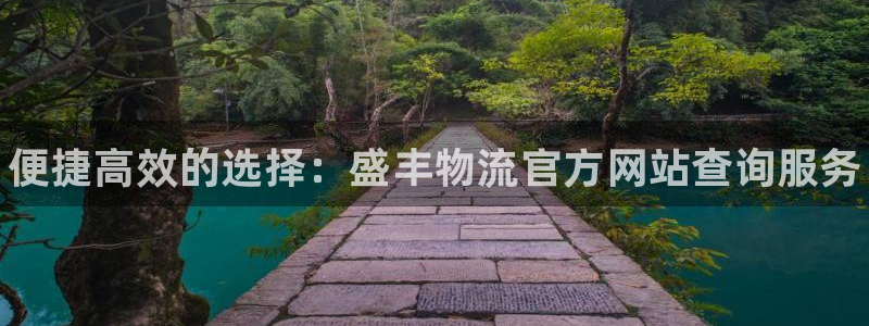 28圈提现不到账