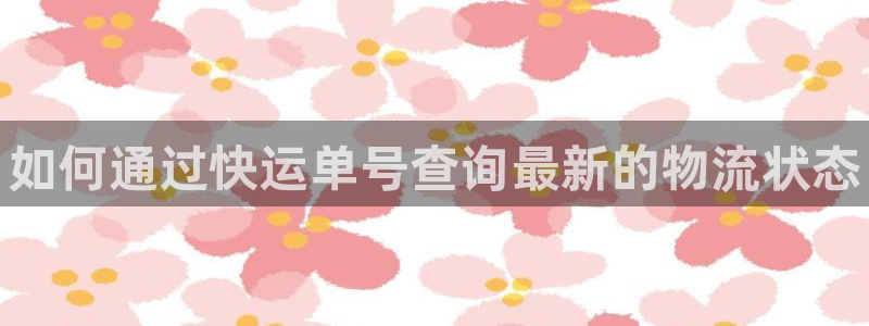 28圈游戏官网版