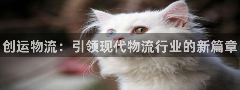 28圈注册网页版