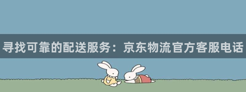 28圈APP是干什么的：寻找可靠的配送服务：京东物流官方客服