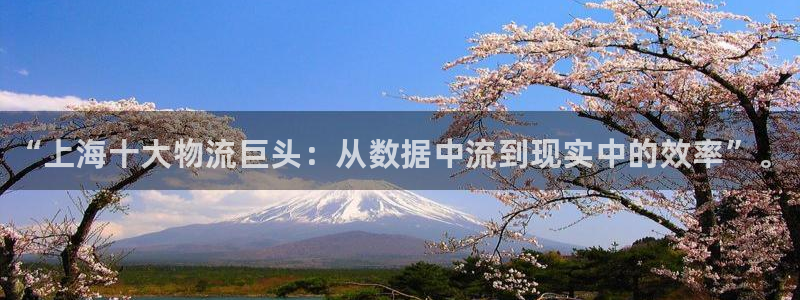 28圈官网平台下载