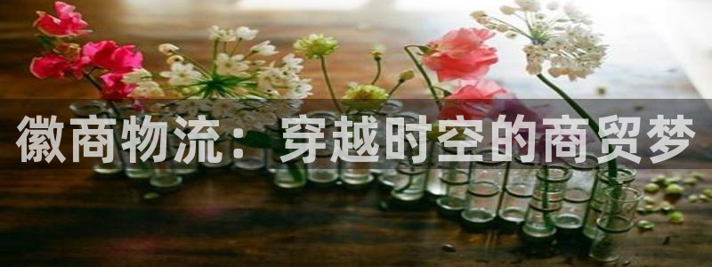 28圈注册网站加拿大