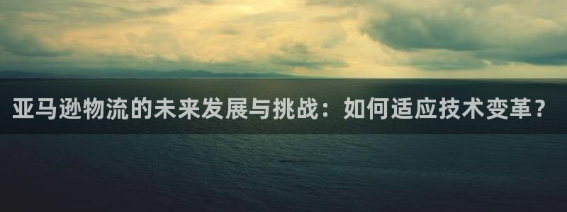 28圈机器人是什么软件：亚马逊物流的未来发展与挑战：如何适应