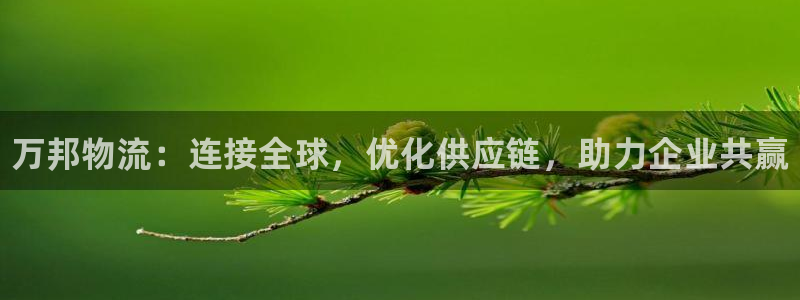 28圈下载二维码