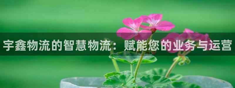 28圈pc预测：宇鑫物流的智慧物流：