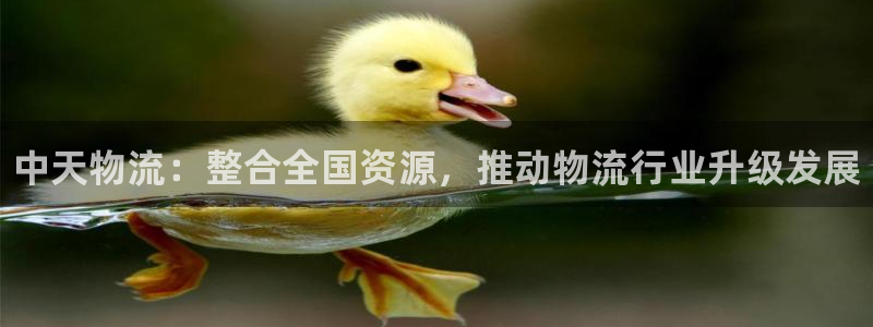 28圈游戏官网入口：中天物流：整合全