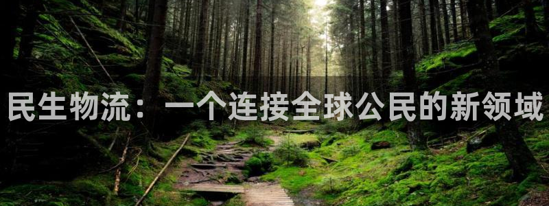 28圈充值：民生物流：一个连接全球公