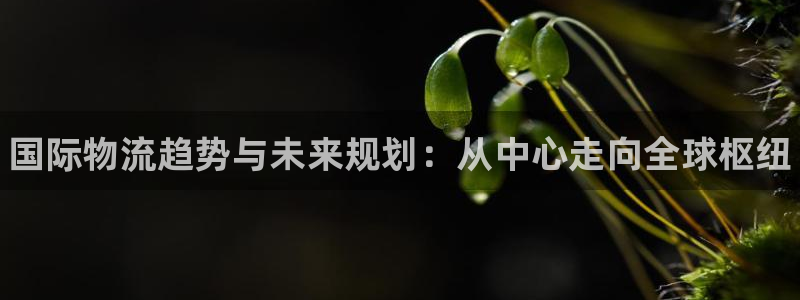 28圈登录不上咋回事：国际物流趋势与未来规划：从中心走向全球