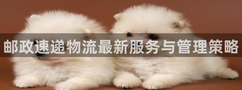 加拿大28圈注册链接