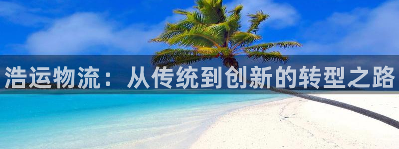 28圈官网开奖结果预测查询：浩运物流